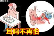 2024年全球电车驾驶者调研报告，92%的受访者表示会选择电动车-报告智库